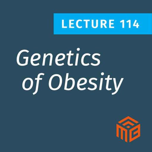 The Real Cause of Fat Gain: Genetics, Hormones, and Insulin