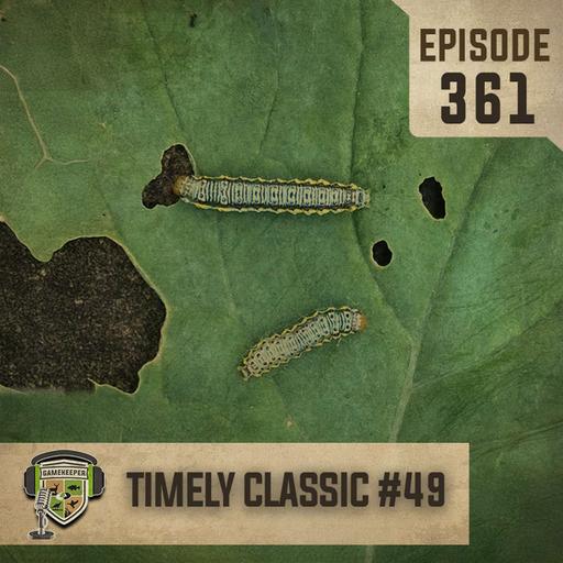 EP: 361 | [Timely Classic #49] Armyworm Alert!