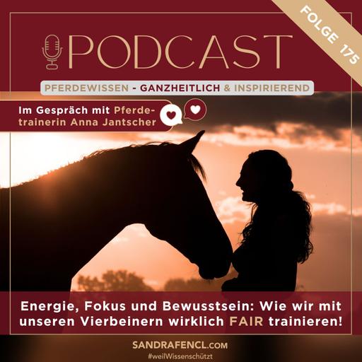 ⚡ Energie, Fokus und Bewusstsein: Wie wir mit unseren Vierbeinern wirklich FAIR trainieren! 🐎