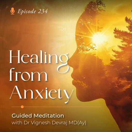 #234 Healing from Anxiety: Guided Meditation with Dr Vignesh Devraj MD (Ay)