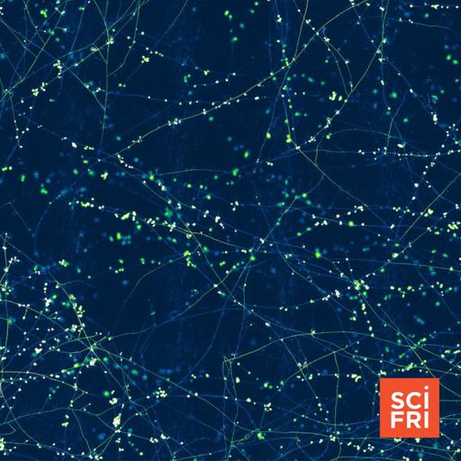‘Underground Atlas’ Shows How Vulnerable Fungal Networks Are