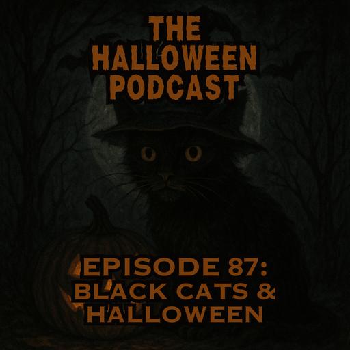 Black Cats History In Halloween | Ep. 87