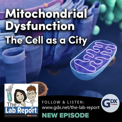 Mitochondrial Dysfunction - The Cell as a City