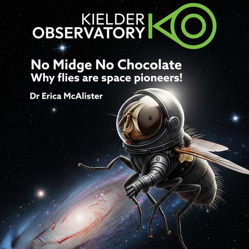 Why you should love the Fly! Dr Erica McAlister