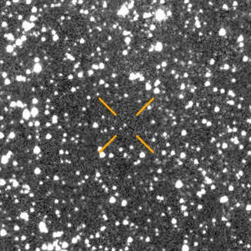 3I/ATLAS: The third interstellar object ever found