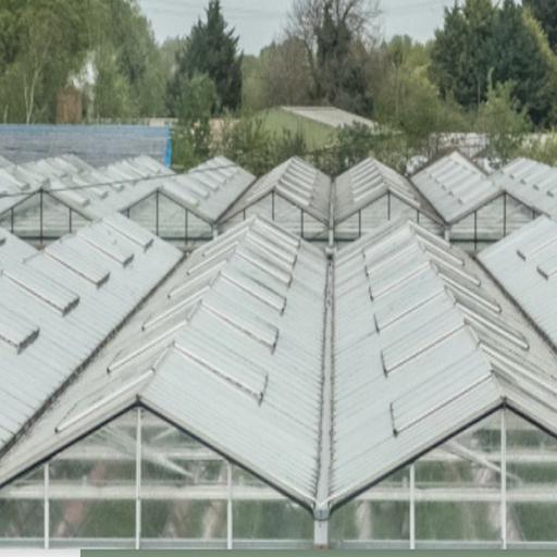 Growers are producing 260 percent more cucumbers per plant than 60 years ago