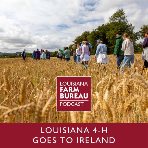 Life Skills, Lush Fields, and Lasting Friendships -- Louisiana 4-H Goes To Ireland