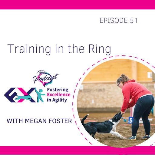 Thoughts on Training in the Ring