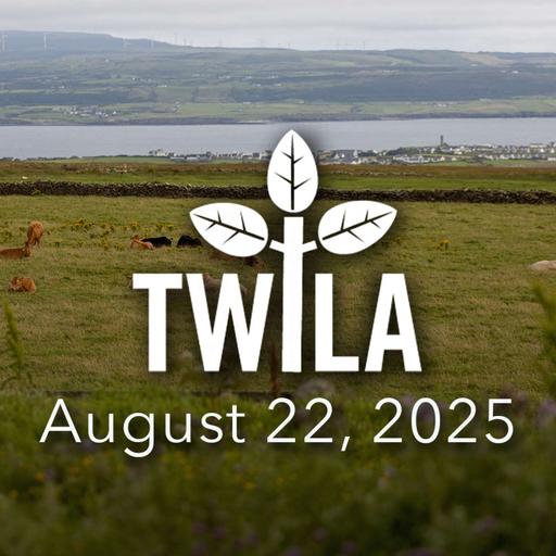 TWILA 8-22-25