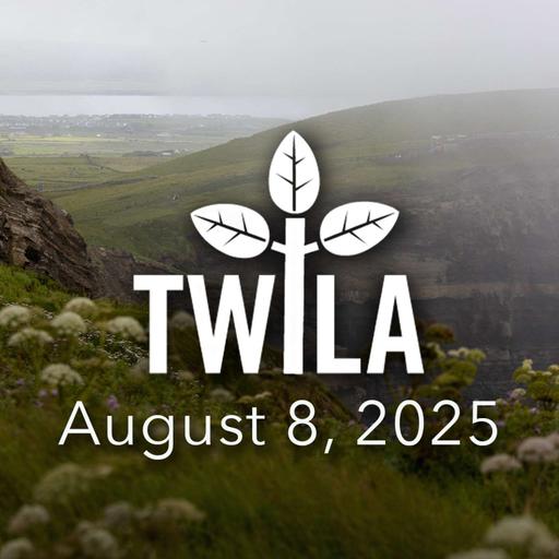 TWILA -- August 8, 2025