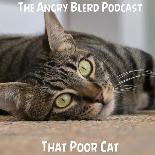 That Poor Cat