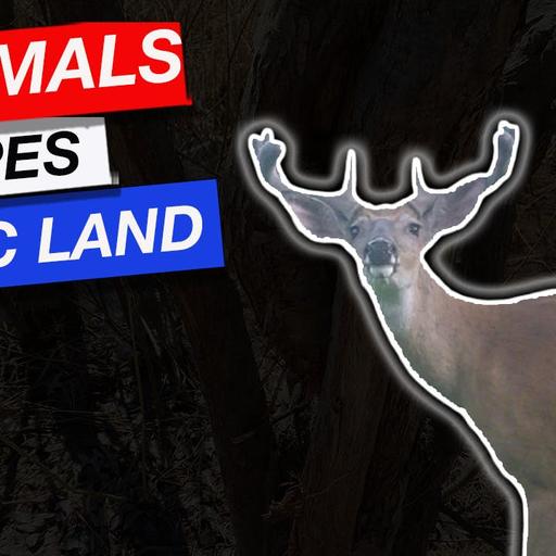 EP.454:Thermals, Scrapes & Public Land Deer Hunting | Preseason Prep | Greg Litzinger