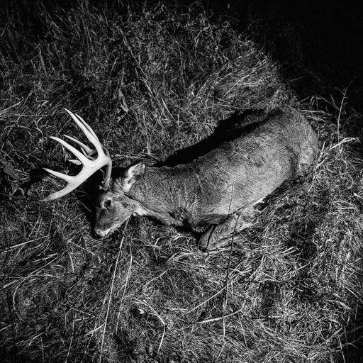 EP.452: Finding Gratitude In The Grind | Chasing Mature Bucks | Jacob Sklenar