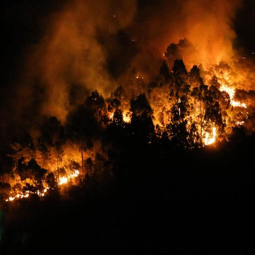 Waldbrände und Hitze - Spanien kündigt „Pakt gegen Klimanotstand“ an