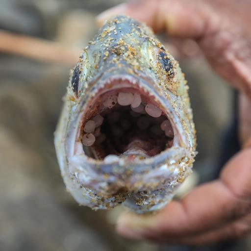 Why can’t the world get its act together on plastics?