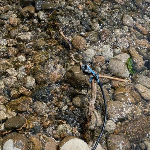 River through wood, Boise River, USA on 22nd June 2025 – by Ariana Martinez
