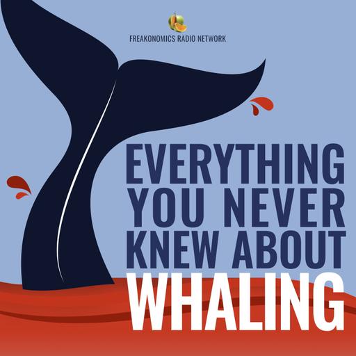 What Can Whales Teach Us About Clean Energy, Workplace Harmony, and Living the Good Life? (Update)