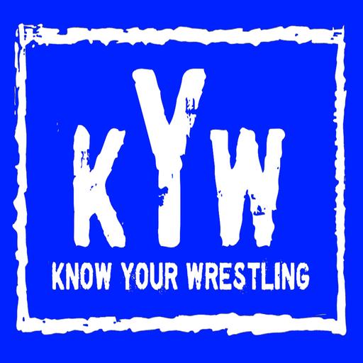 Marvel vs Capcom 2 - The road to Platinum Glory