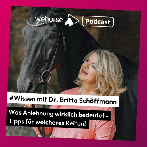 #Wissen mit Dr. Britta Schöffmann: Was Anlehnung bedeutet und wie du gängige Probleme löst