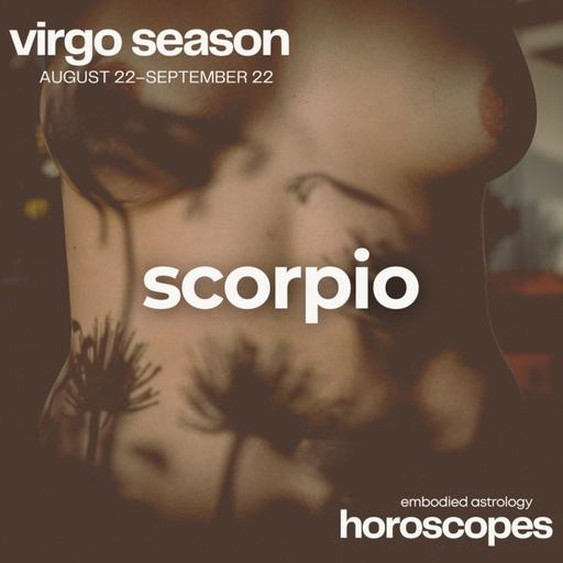 ♏ SCORPIO ♏ Should Is A Dangerous Word - VIRGO SEASON 2025 MONTHLY HOROSCOPE