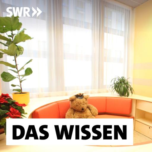 Kinder als Zeugen – Richtig fragen, ohne zu manipulieren