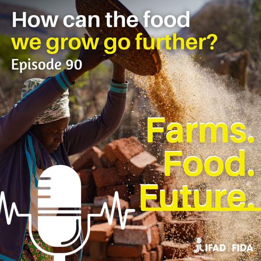 How do we feed more people with the food we already grow?