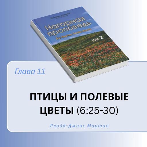 11. Птицы и полевые цветы — Д-р Мартин Ллойд-Джонс