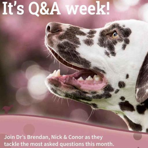 Q&A