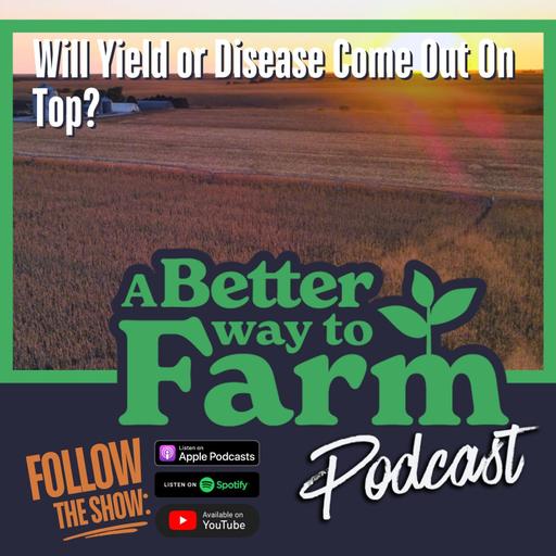 320: Will Yield or Disease Come Out On Top?