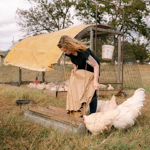 232: From Vegan to Homesteader - Julia Wells from Humble Hive Homestead
