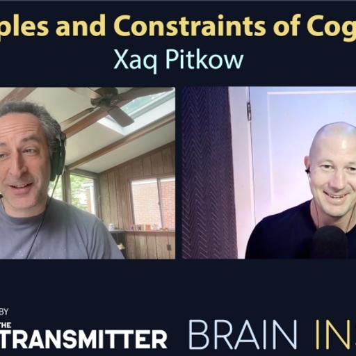 BI 219 Xaq Pitkow: Principles and Constraints of Cognition