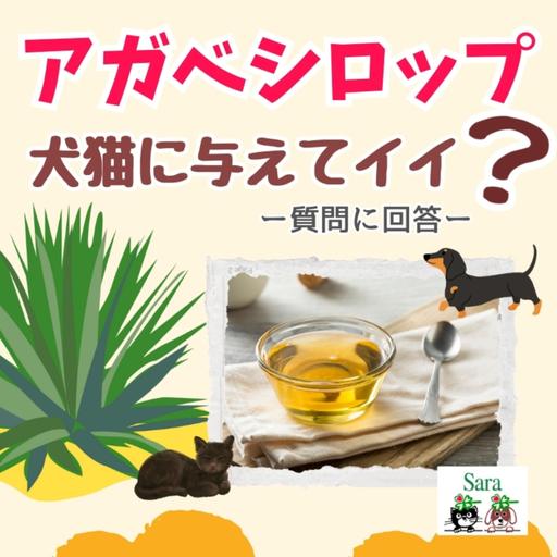#1008. 犬猫にアガベシロップは与えてもOK？注意点は？（質問に回答）