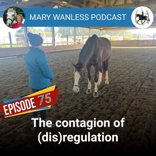 Ep. 75 The contagion of (dis)regulation