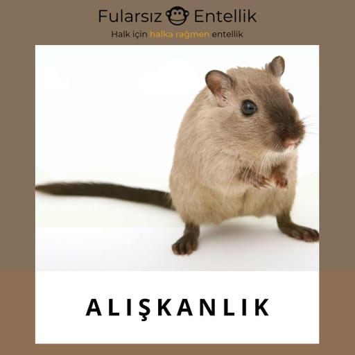 Alışkanlık: Sığınak mı Zincir mi?