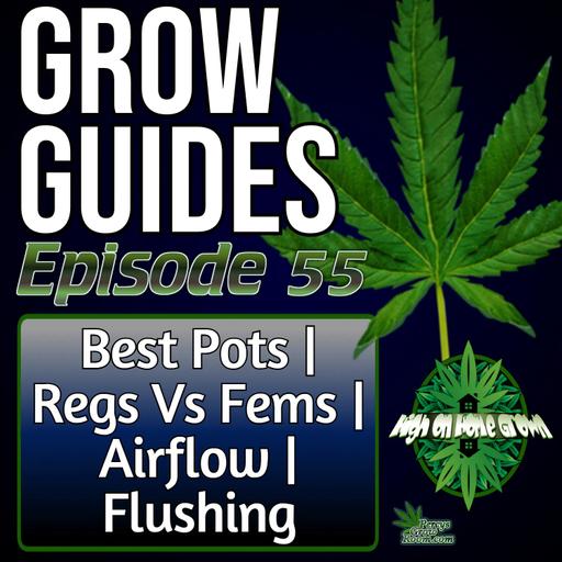 How to Grow Cannabis: Best Pots for Bigger Yields, Seed Types Explained, Airflow in Your Tent, and Should You Flush? | Grow Guides Ep. 55