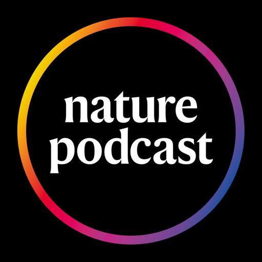 Audio long read: How to detect consciousness in people, animals and maybe even AI