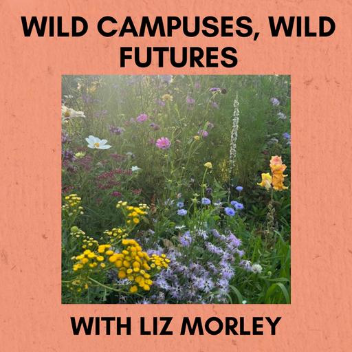 Episode 351: Wild Campuses, Wild Futures