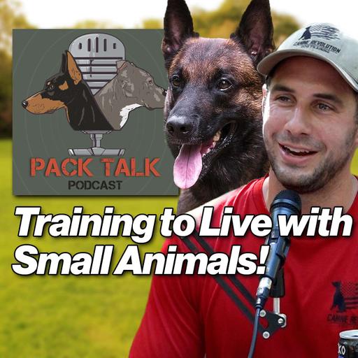 #139 How to Train Your Dog to Live Peacefully with Cats, Chickens, and Small Animals (Without the Chase!)