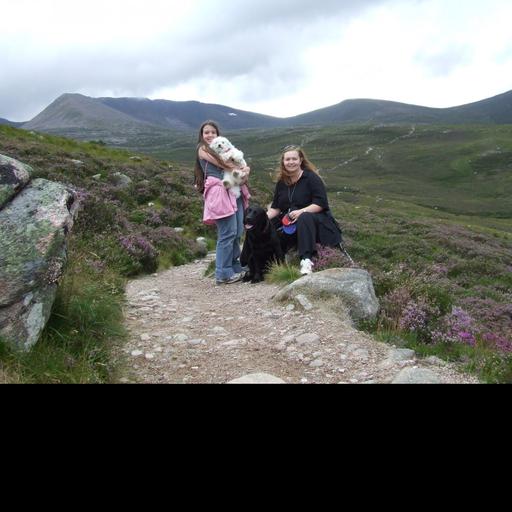 Episode 290 - twenty years of dog podcasting