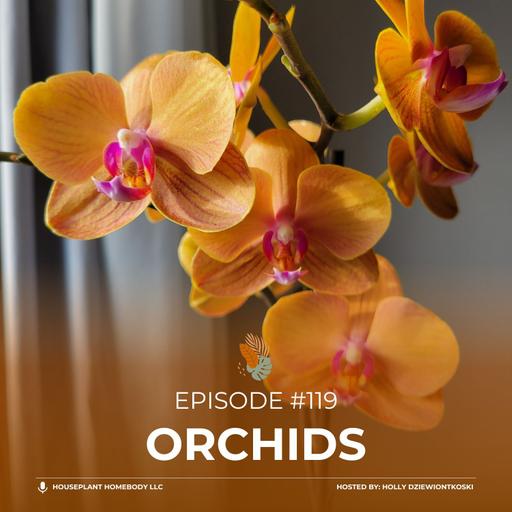 Ep#119: Orchids
