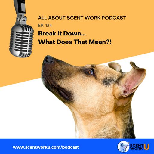 Break It Down...What Does That Mean?!