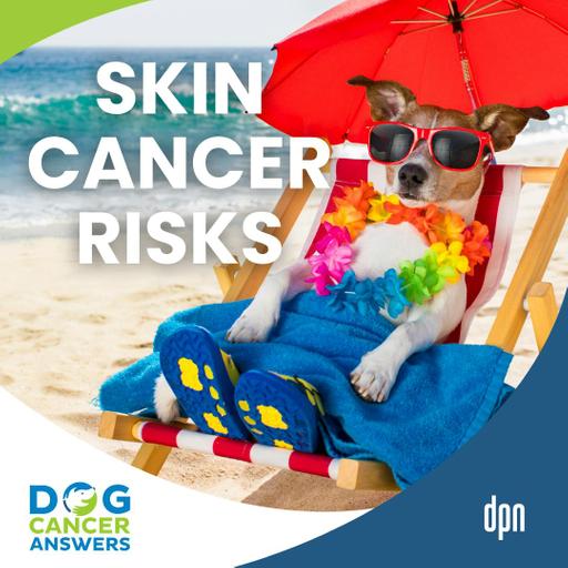 Skin Cancer in Dogs: Cutaneous Hemangiosarcoma Recurrence, Risks, and Treatments | Dr. Brooke Britton #291