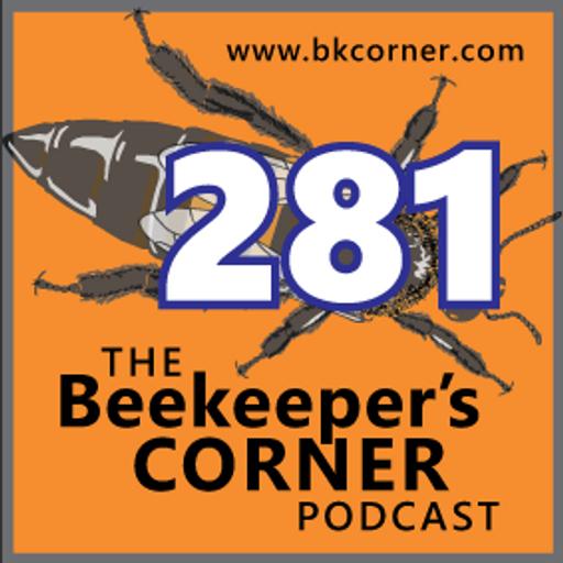 BKCorner Episode 281 - May I Api