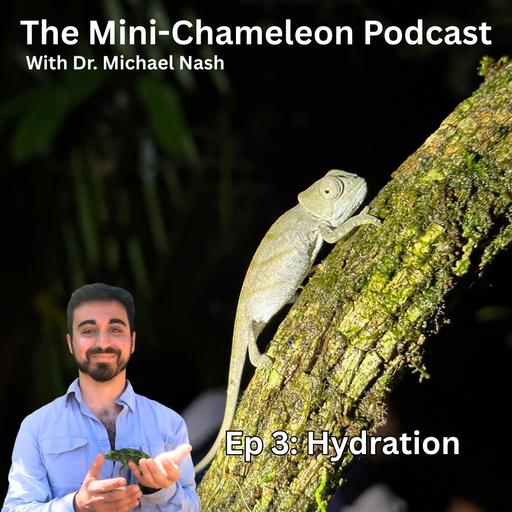 Hydrating Mini Chameleons