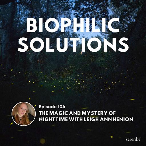 The Magic and Mystery of Nighttime with Leigh Ann Henion