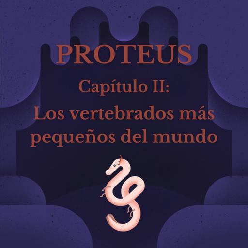 Los vertebrados más pequeños del mundo