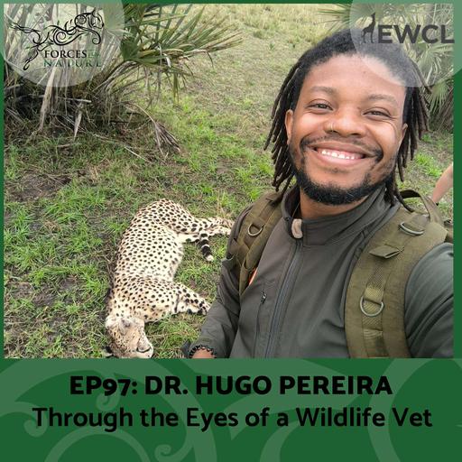 Through the Eyes of a Wildlife Vet with Dr. Hugo Pereira, Ep. 97