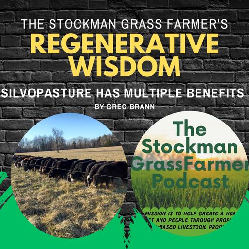 Silvopasture Has Multiple Benefits By Greg Brann