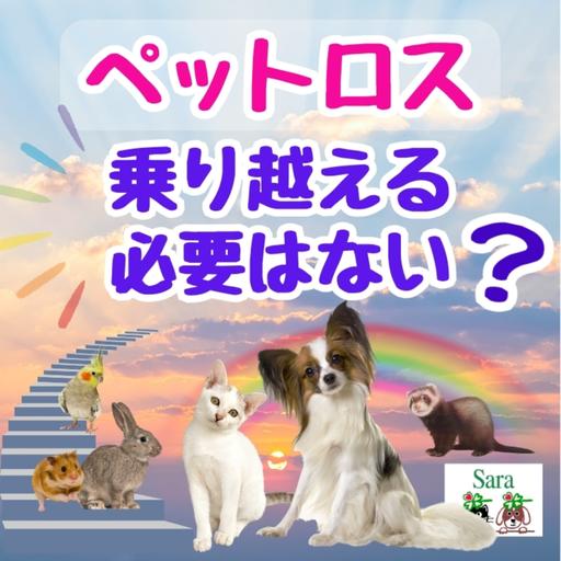 #1012. ペットロス：乗り越える必要はない？焦らなくてＯＫ