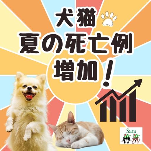 #1011. 夏の死亡例が増加！改めて注意喚起（質問に回答）
